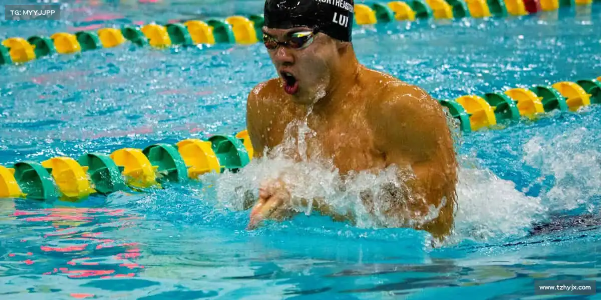 行业领先的理由